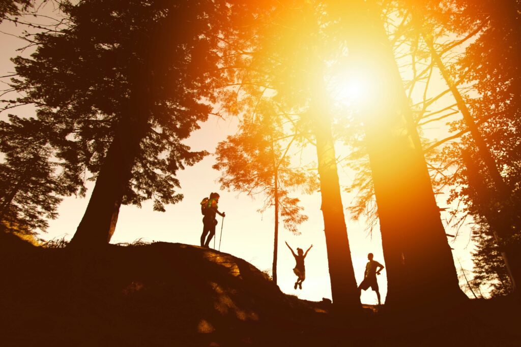 Three people hiking in the woods silhouetted by the sun
