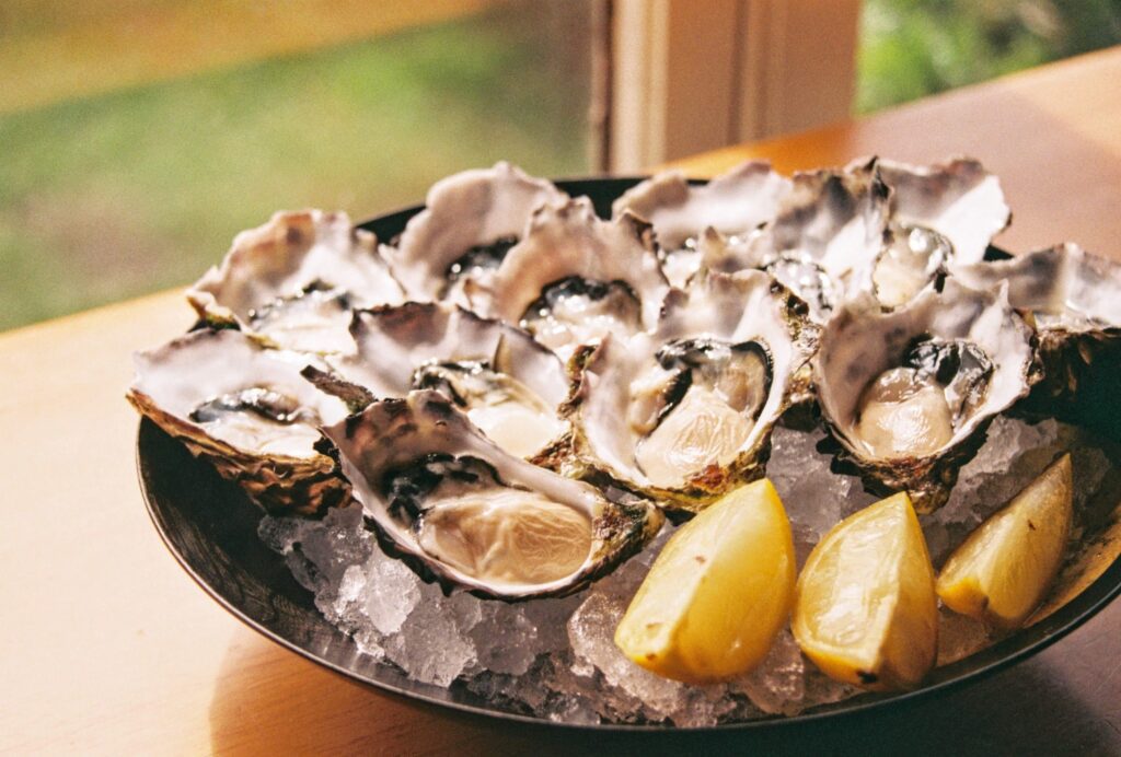 Plate of raw oysters on ice
