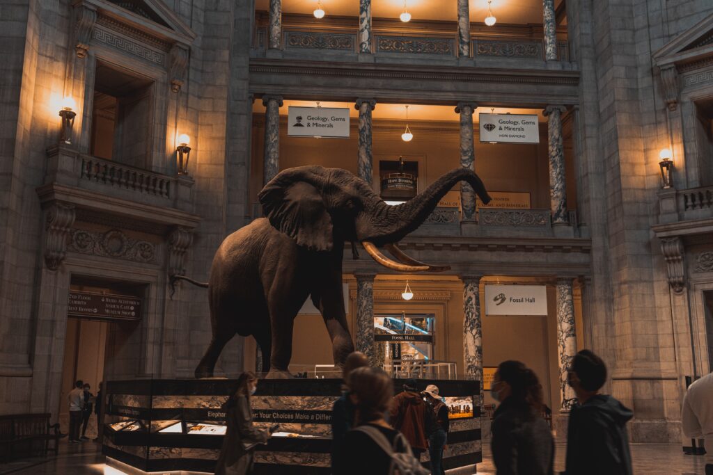 Discovering the Magic of Smithsonian Museums