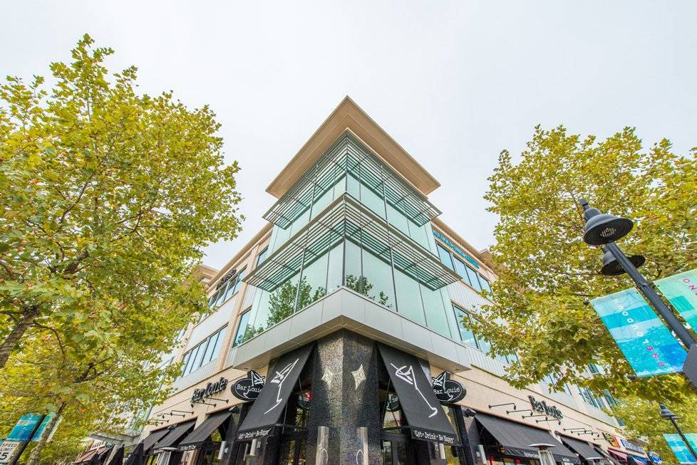 ashburn bar louie