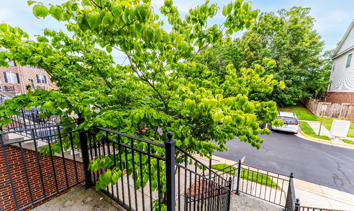 Garrell Group Top Ashburn Realtor 43103 Forest Edge Sq web 02