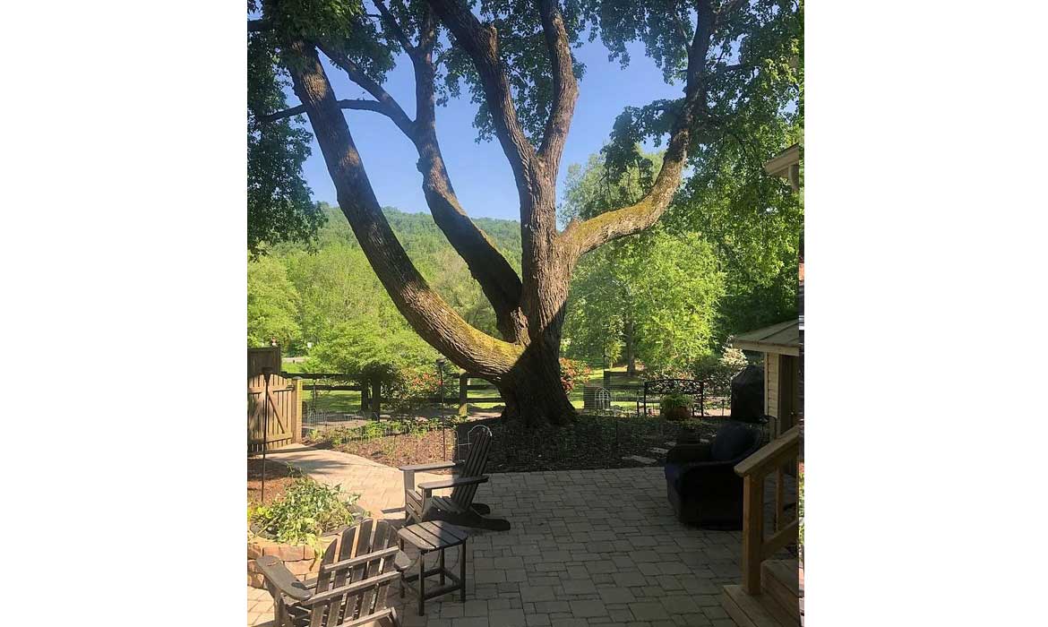 Garrell Group Top Purcellville Realtor 37151 Branchriver Rd web 04