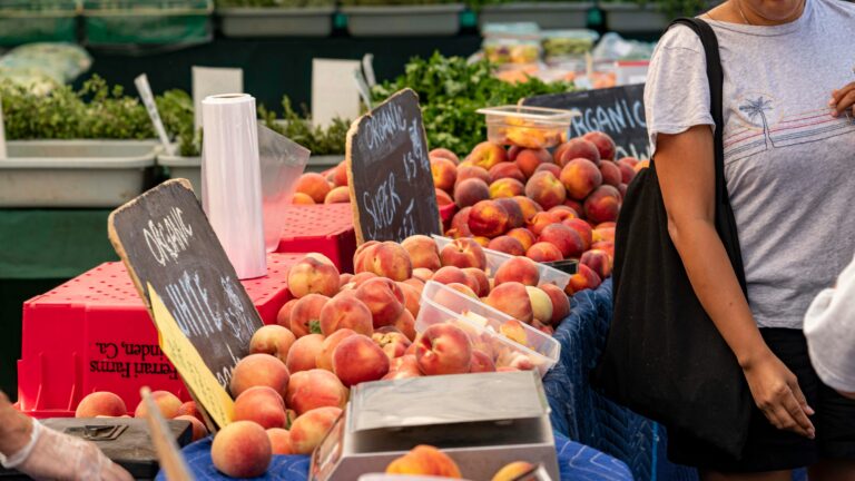 People shopping and selling goods at a Farmers Market in Purcellville Virginia