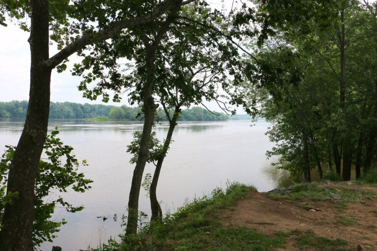 Potomac River at Algonkian Regional Park near Potomac Falls Virginia