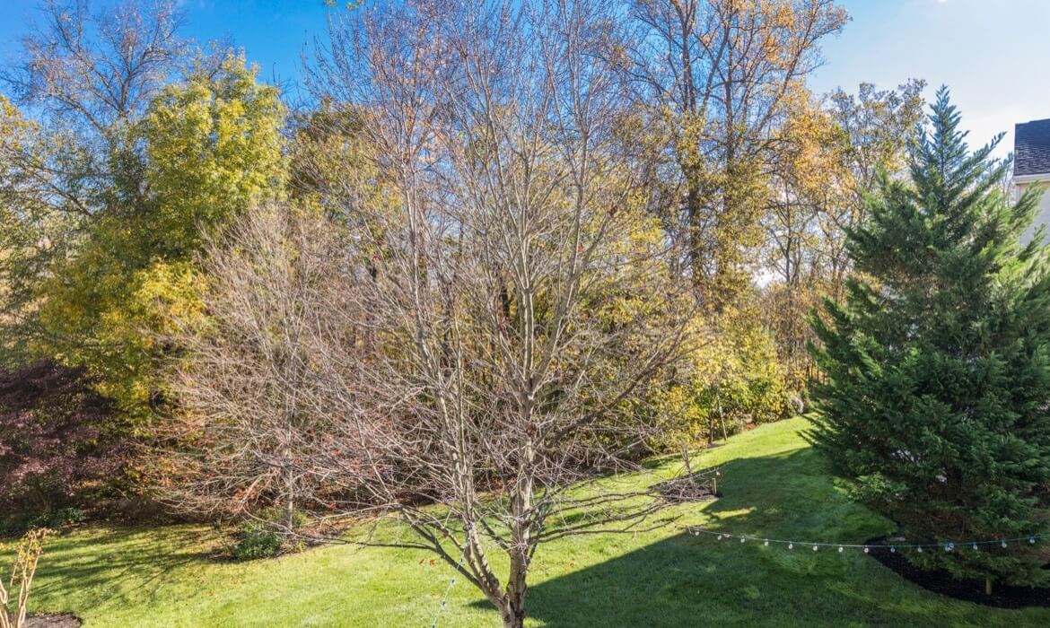 Garrell Group Top Lansdowne Realtor 20