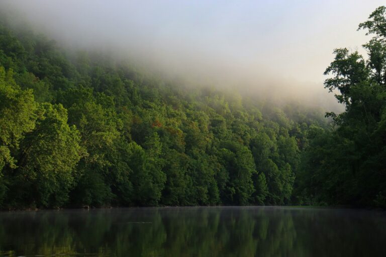 Foggy river surrounded by trees representing scenic views and nature near Potomac Falls, Virginia.