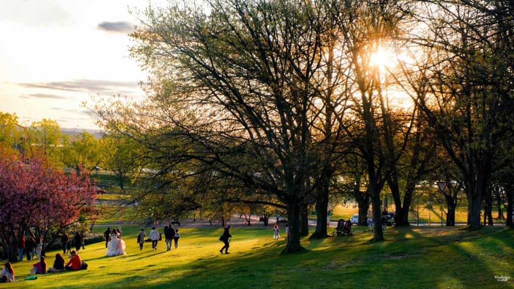 Residents enjoying a sunny afternoon in a neighborhood park in Brambleton, Virginia