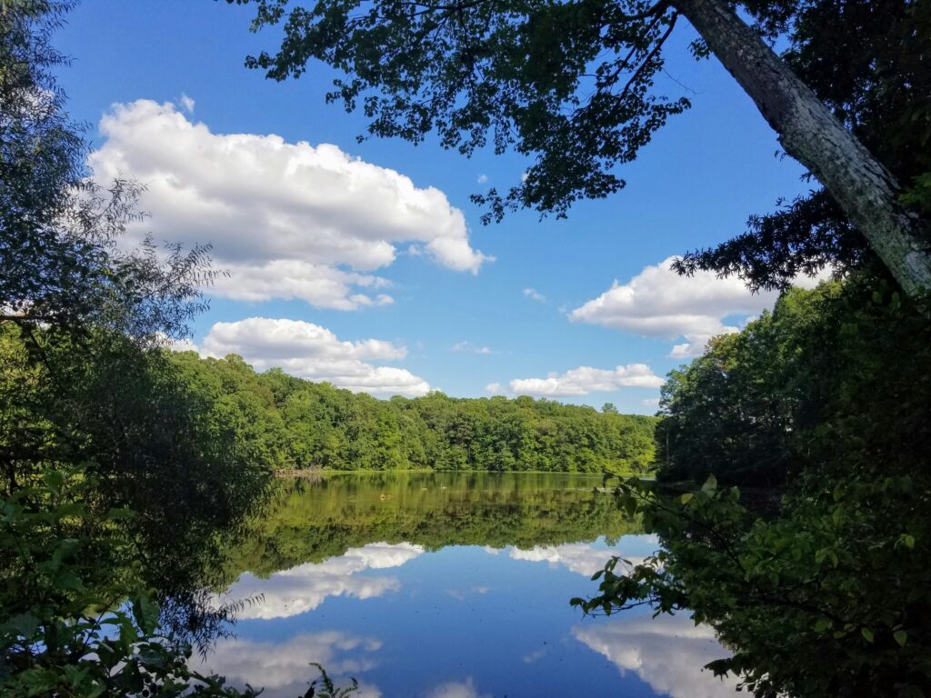 Red Rock Wilderness Overlook gives Leesburg residents another place to enjoy trails, nature, and views of the Potomac River.