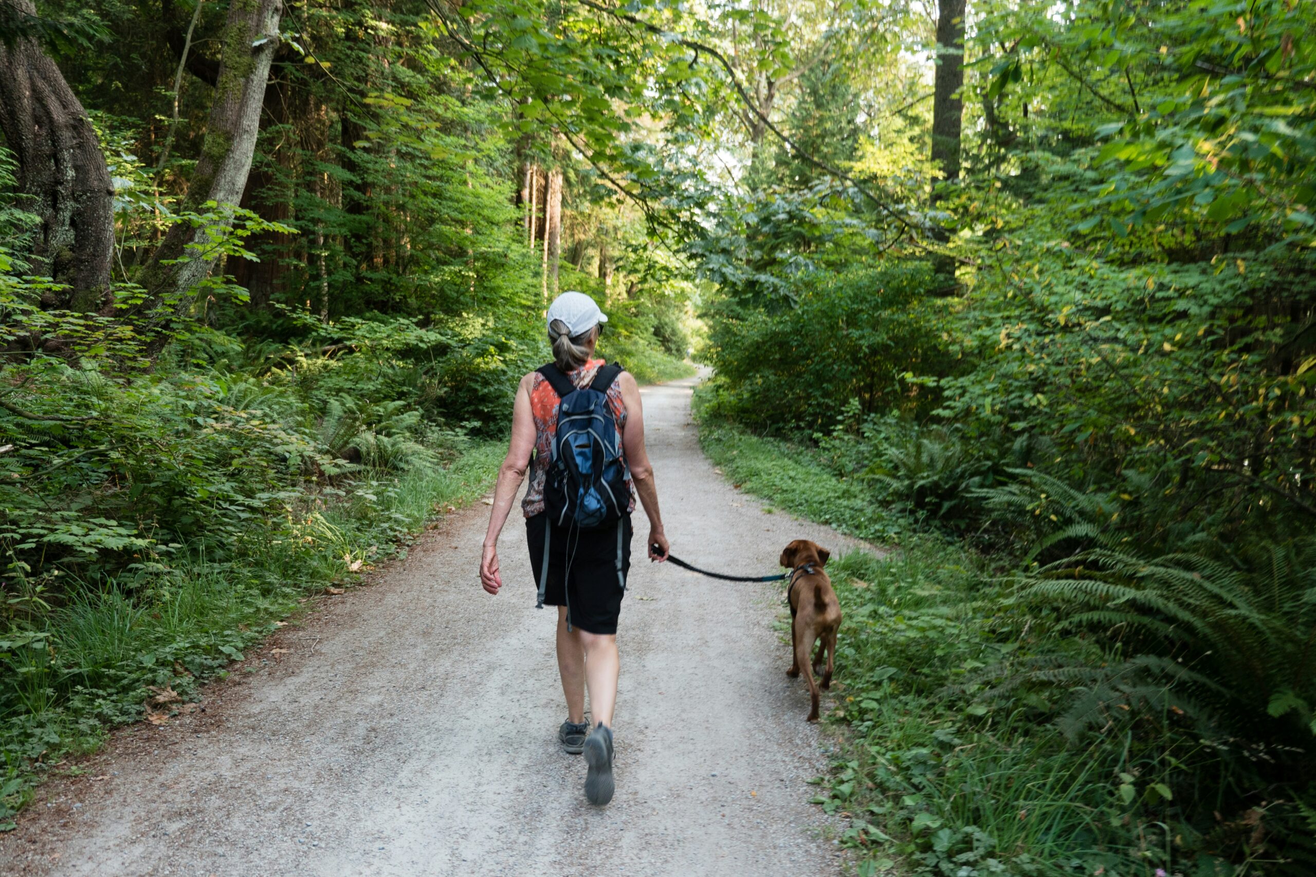 Two women walking a dog on a neighborhood path representing pet-friendly living in Sterling Virginia