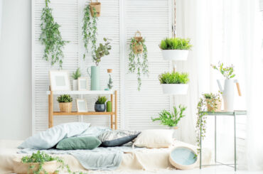 Use Indoor House Plants to Help Brighten Your Home During the Colder Months