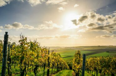 Paeonian Springs Real Estate: A Homebuyer’s Guide