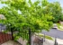 Garrell Group Top Ashburn Realtor 43103 Forest Edge Sq web 02