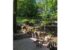 Garrell Group Top Purcellville Realtor 37151 Branchriver Rd web 03