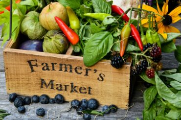 Farmers Markets in Purcellville: Fresh Produce and Local Goods