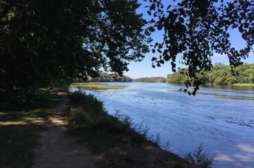 Potomac Falls Scenic Views: Best Spots to Enjoy Nature and Wildlife