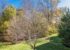 Garrell Group Top Lansdowne Realtor 20