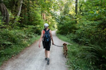 Pet-Friendly Living in Sterling: Dog Parks, Trails, and Housing Options